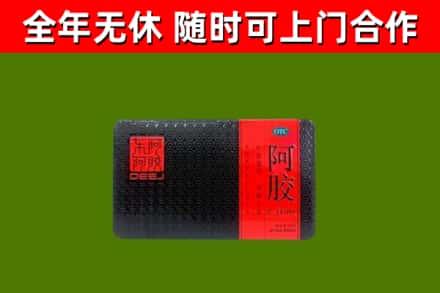 定安回收阿胶