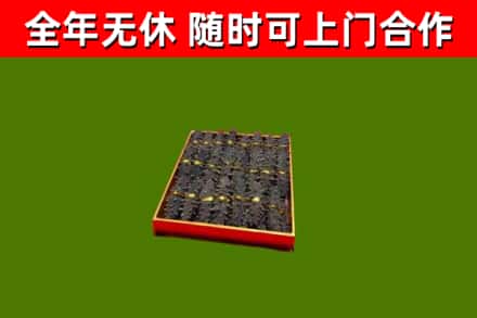 定安烟酒回收海参.jpg